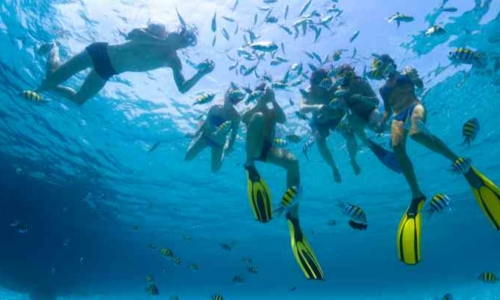 Snorkeling Cozumel Reefs - MyDeepLife