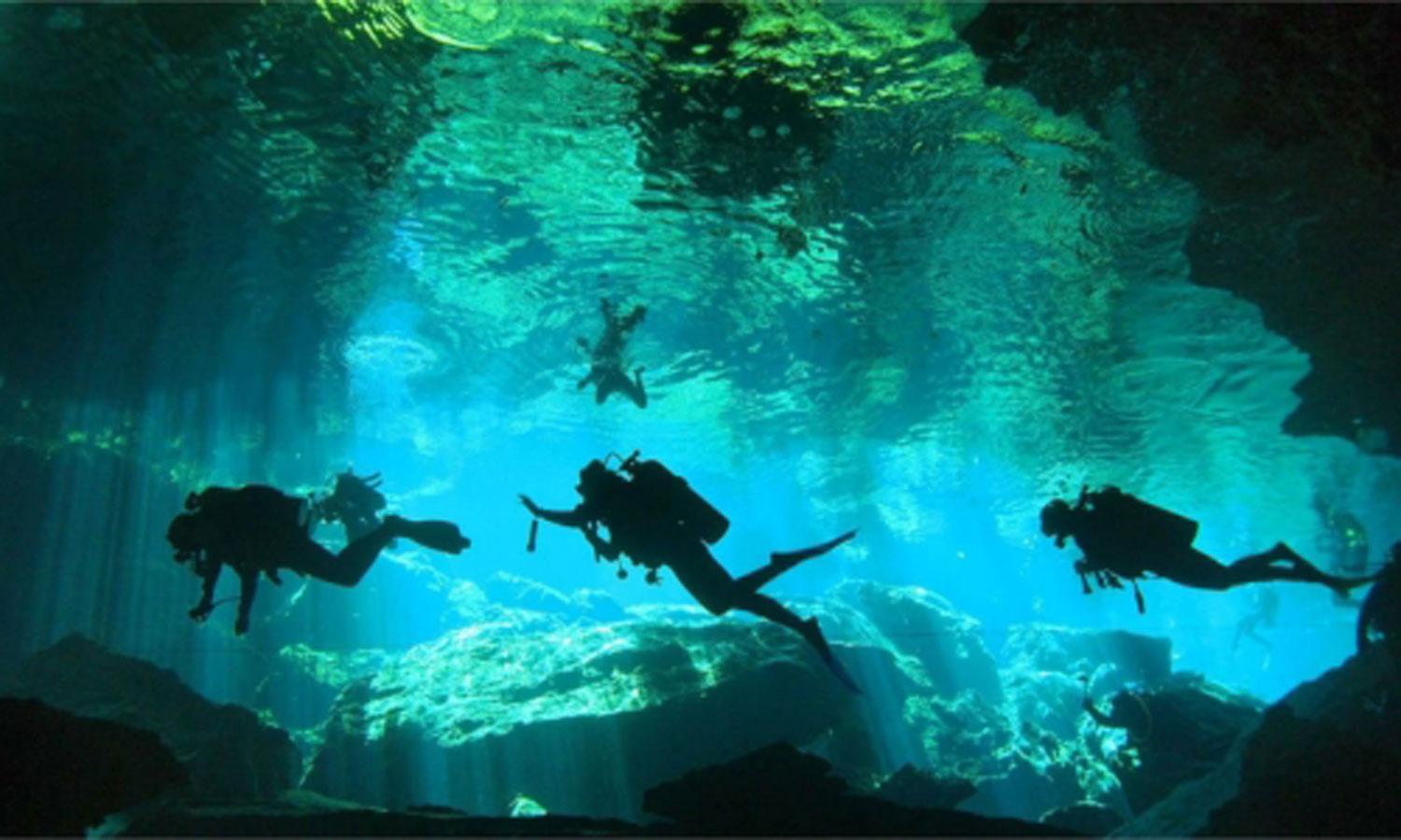 Cenote diving and snorkeling