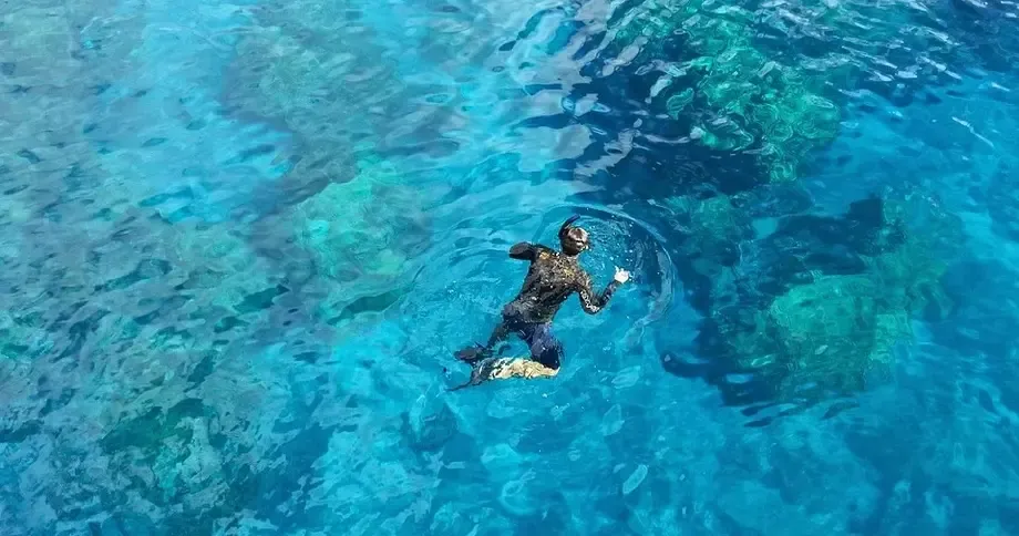 Cozumel Snorkeling