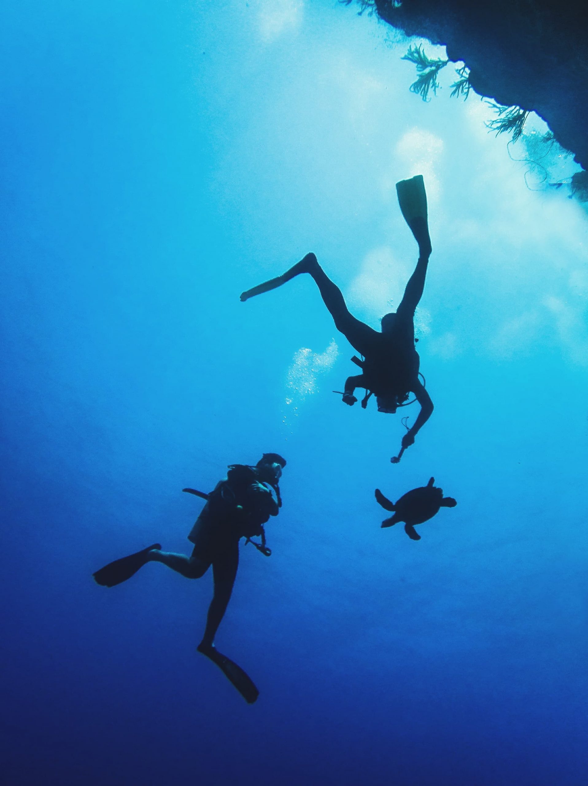 Snorkeling group underwater